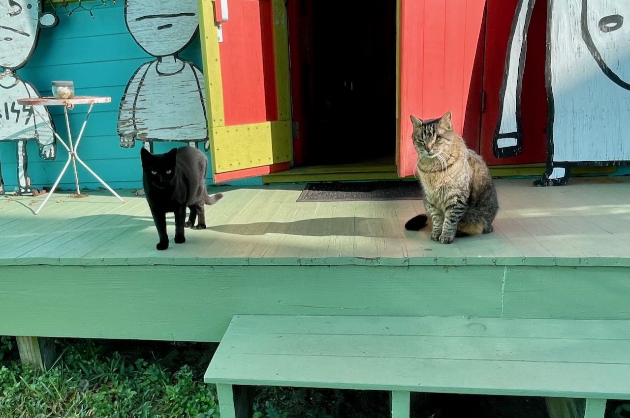 Buddy and Shadow on the porch