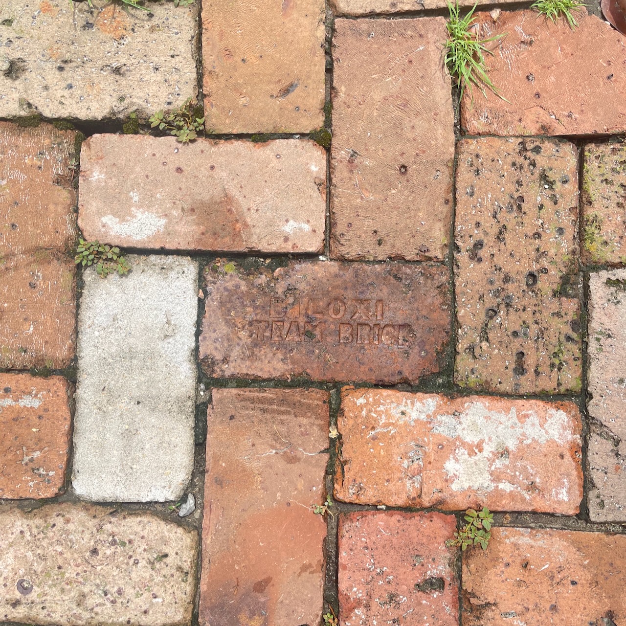 I found an interesting brick underfoot.