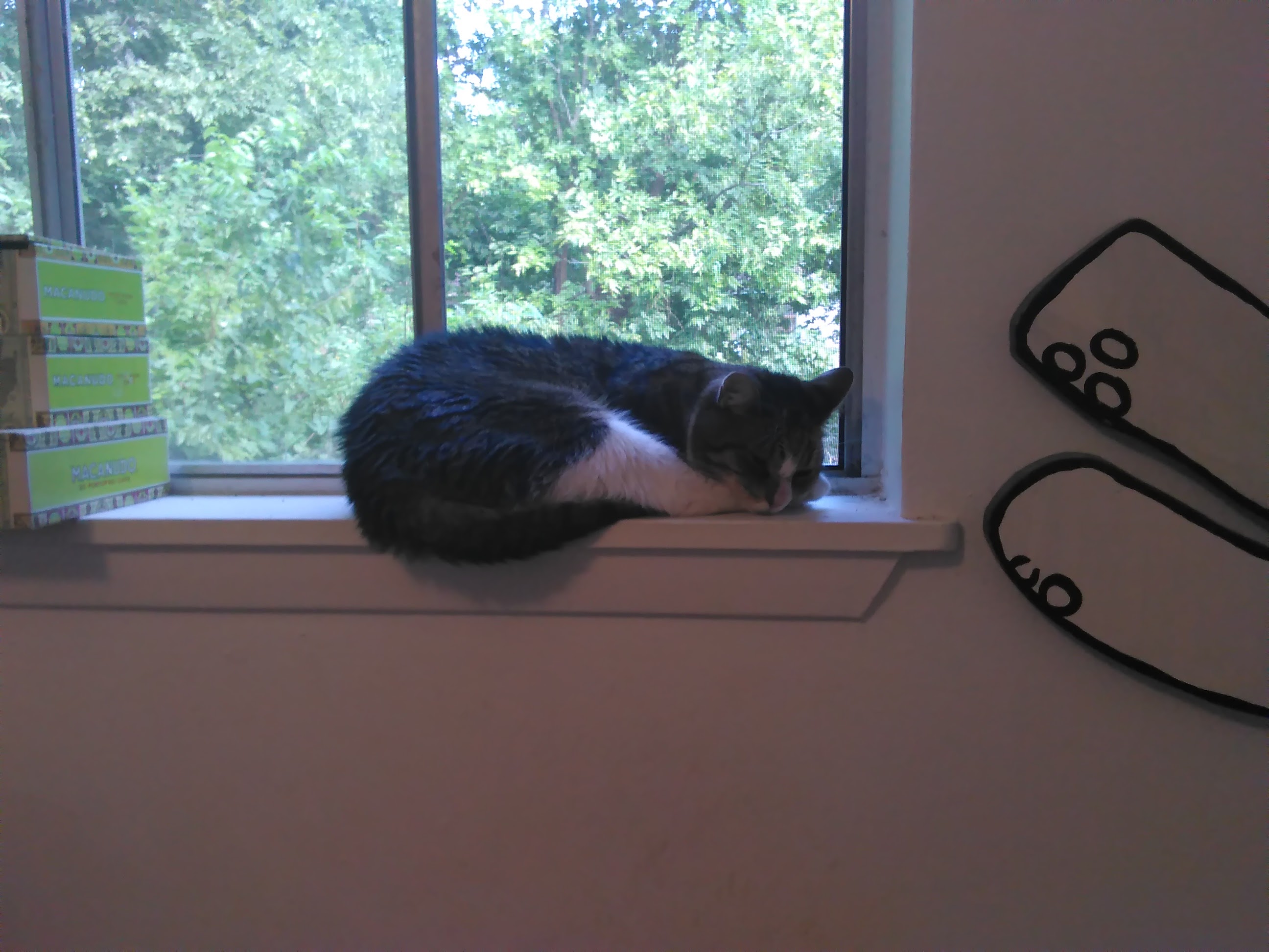 Sally in our air-conditioned house in Austin.