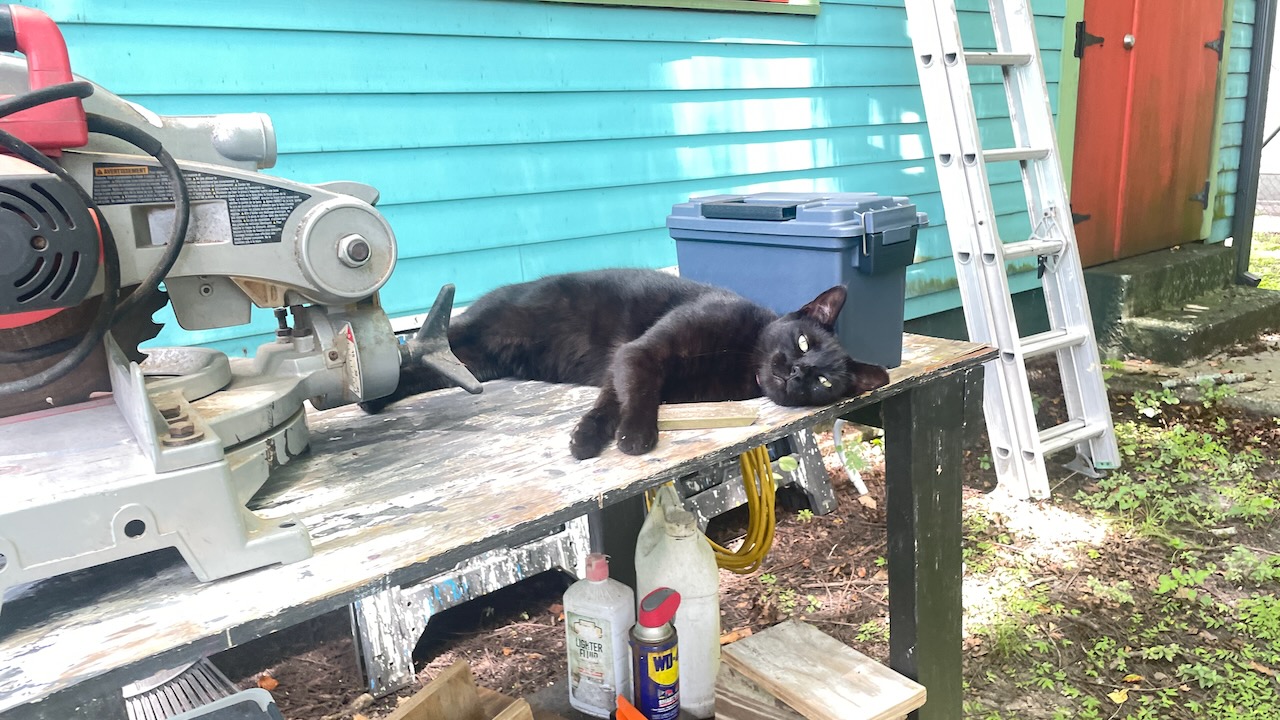 I got a new chop saw.