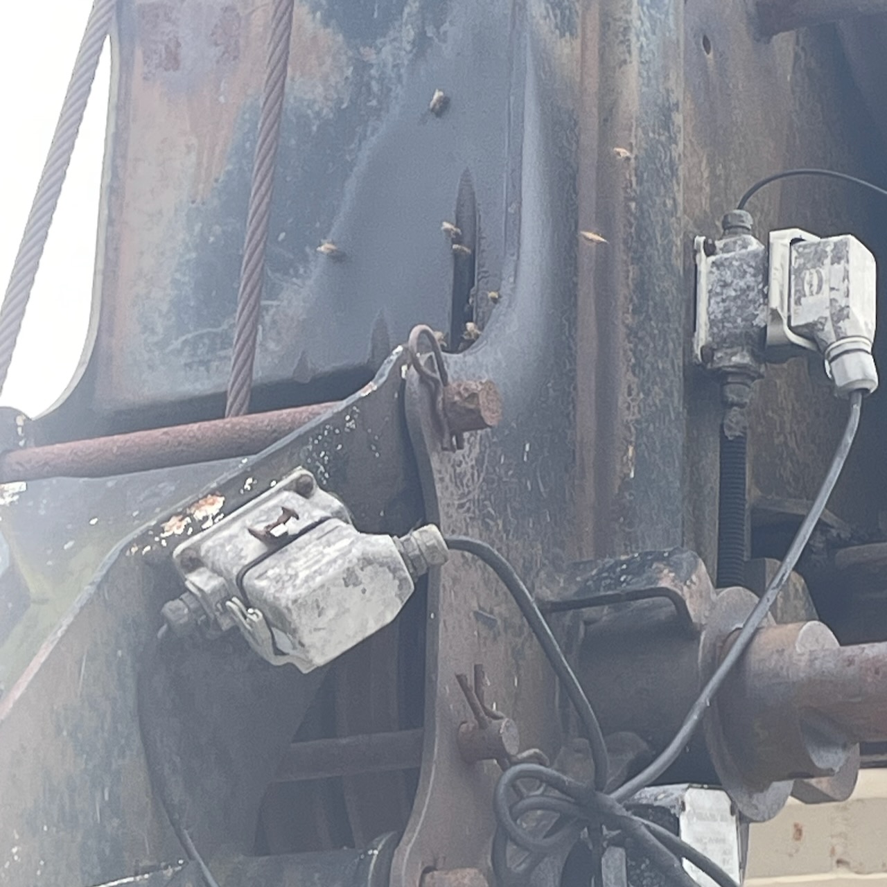 Crane with beehive in the boom head, close-up