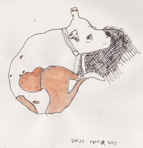 sketch of a spotted pit bull