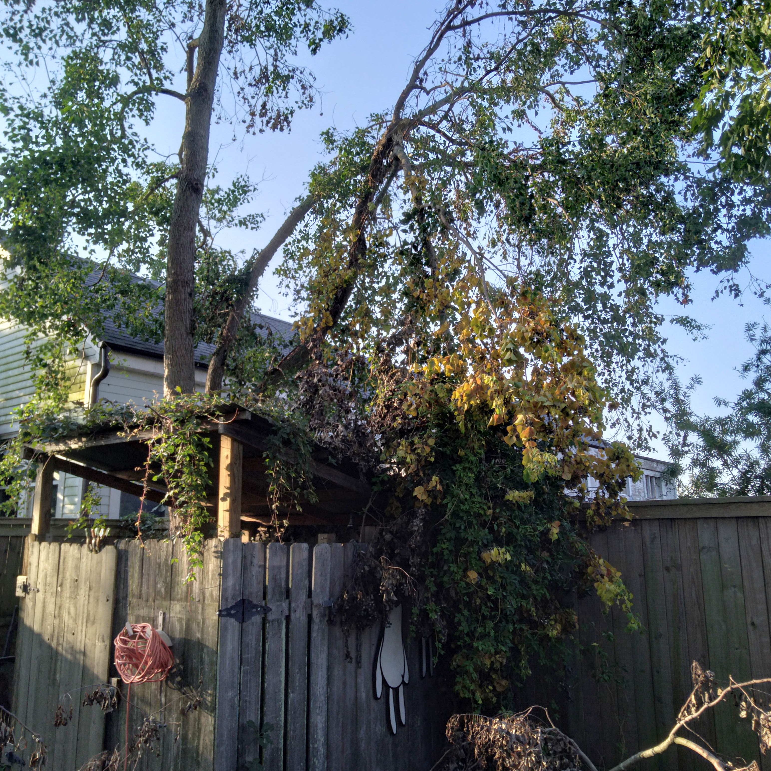 Hurricane Ida damage.