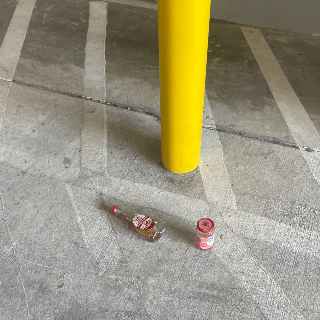 Saw some sights while helping someone move.