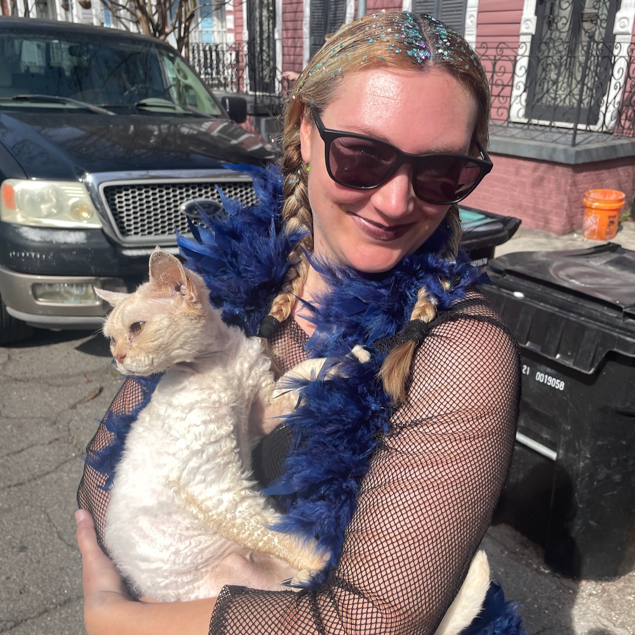 curly cat named fluff photo from Mardi Gras 2026