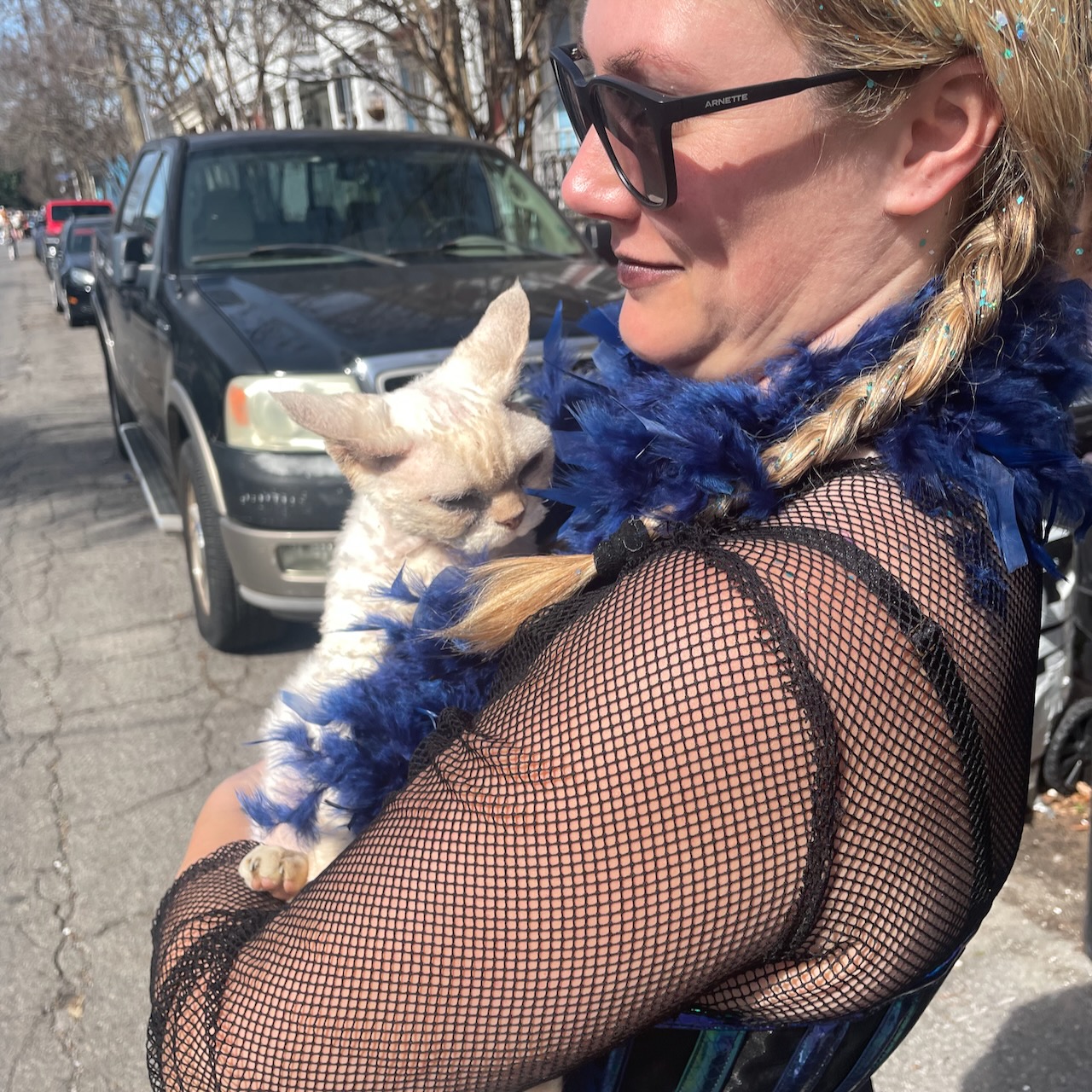 curly cat named fluff photo from Mardi Gras 2026