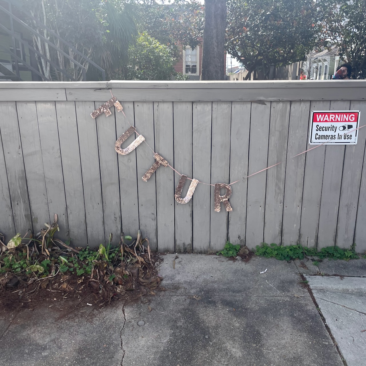 start of walking parade photo from Mardi Gras 2026