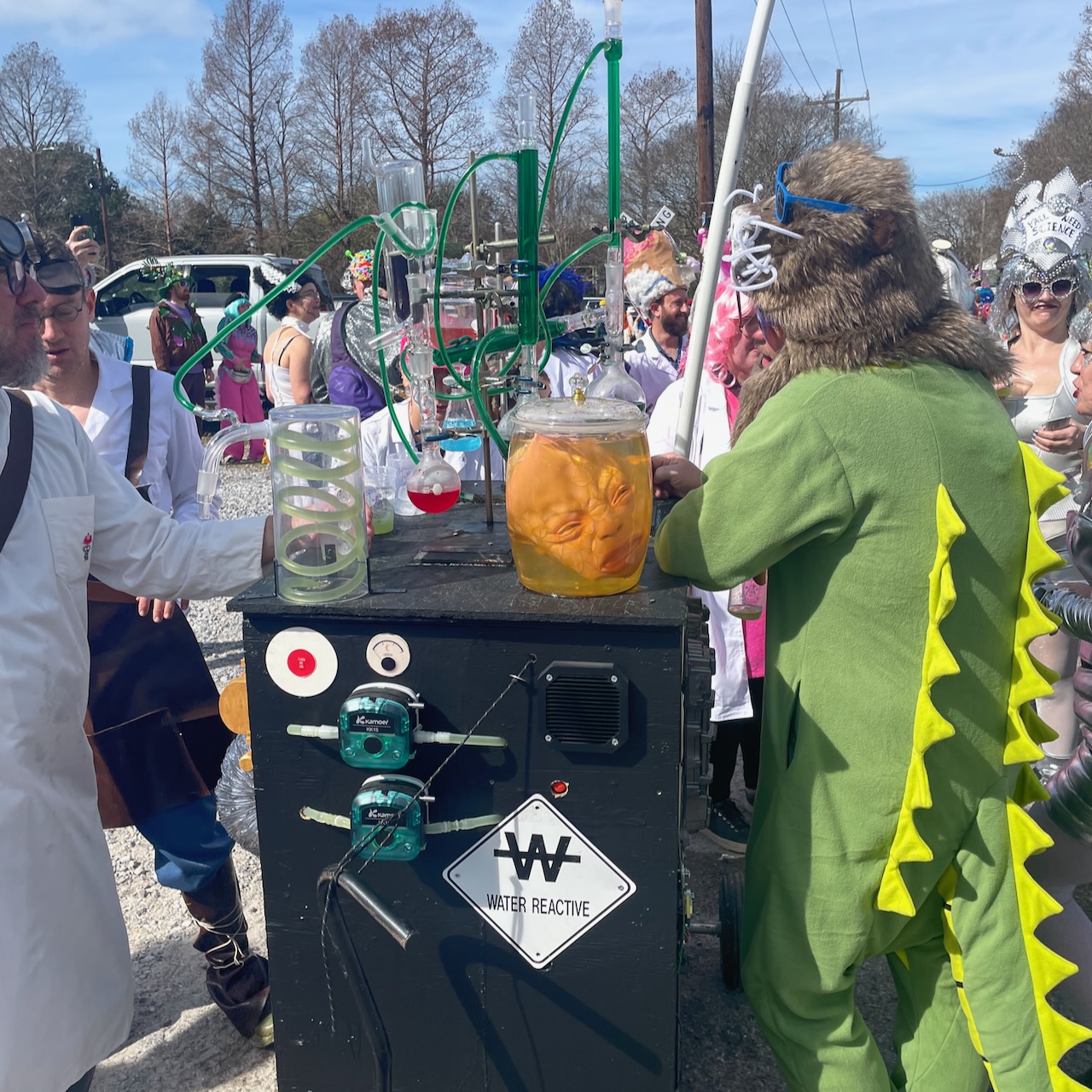 start of walking parade photo from Mardi Gras 2026