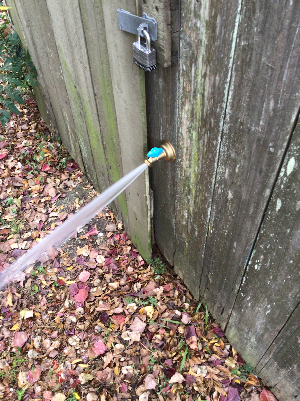 water spraying from the spigot I installed in my backyard shed.