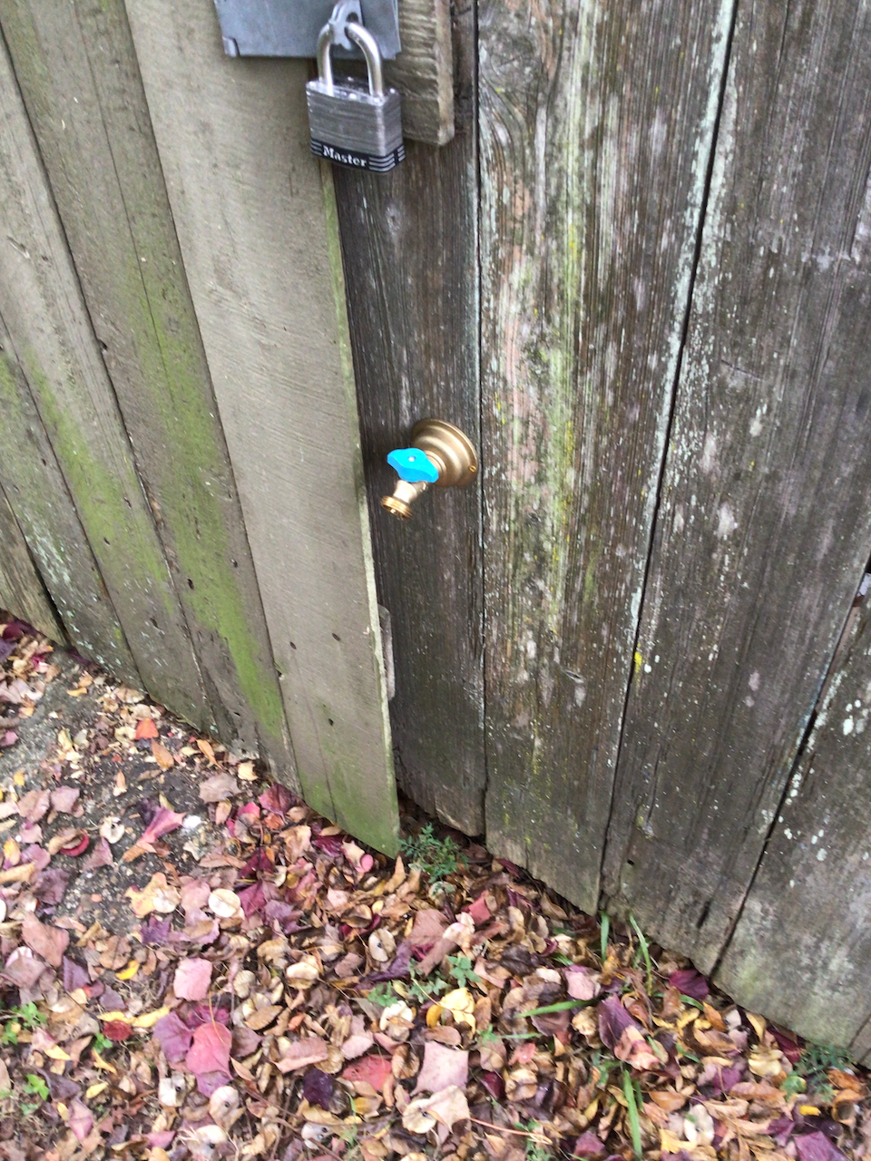 water spraying from the spigot I installed in my backyard shed.
