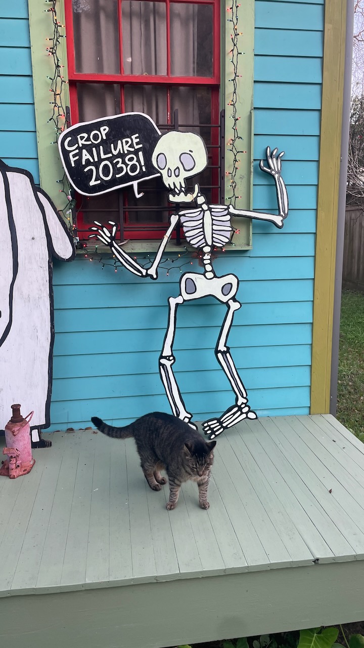 skeleton artwork repairs seen from front