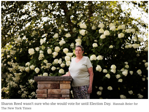 fucking idiot undecided voter in 2024 Presidential election